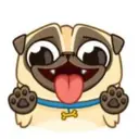 $PENNYPUG