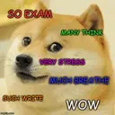 $DOGE MEME