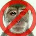 MONKE2