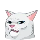 memcat