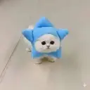 GRAMCAT