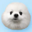 PYONYA