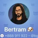 BERTMAN