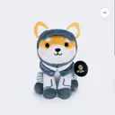 ASTEROIDPLUSH