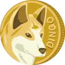 Dingo