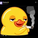 DUCK