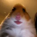 HAMI