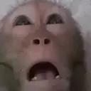 MONKE