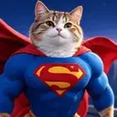 SUPERCAT