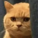 OBC