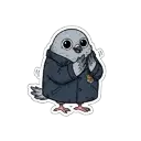 SQUAB
