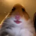 HAMI