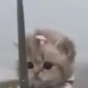 CATHUR