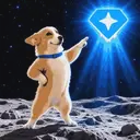 ASTROCORGI