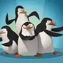 KAPATEPINGUIN