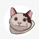 Lcoin