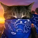 CRIMECAT