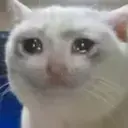 SADMEOW