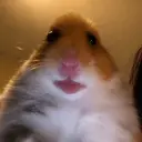HAMI