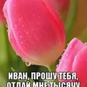 notbuy