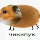 chikipuk