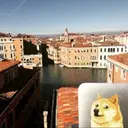 VENDOGE