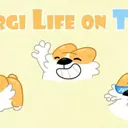 CORGI