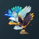 BIRDS