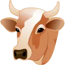 CWCN