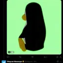 OS
