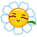 DAISYROMASHKA