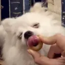 KUNI