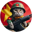 CATVN