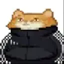 SLAVCAT