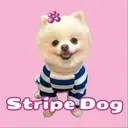 SDOG