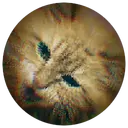 MoCat