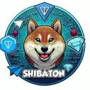 SHIBT