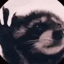 PEDRO