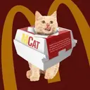 $MCAT