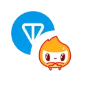 TON-FLAME LP