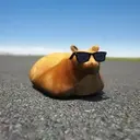 TPR
