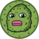 PICKLE 
