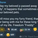 Freddy