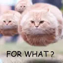 4what