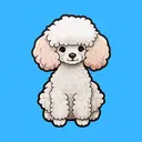 poodle