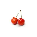 Cherry Ton