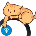 DIC