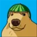 DMELON