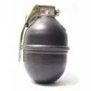 RGN86