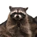 GRE
